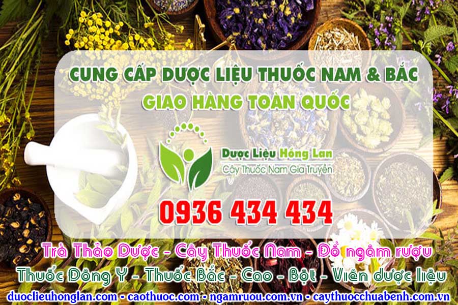 Địa chỉ cửa hàng bán sỉ & lẻ Dược Liệu Cây Thuốc Nam - Trà Thảo Dược - Đồ Ngâm Rượu - Thuốc Đông Y - Thuốc Bắc - Cao - Bột - Viên thảo dược uy tín ở Vinh (Nghệ An)