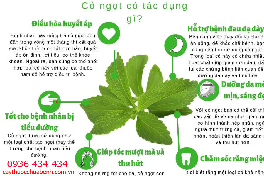 CAY CO NGOT CO TAC DUNG GI 01