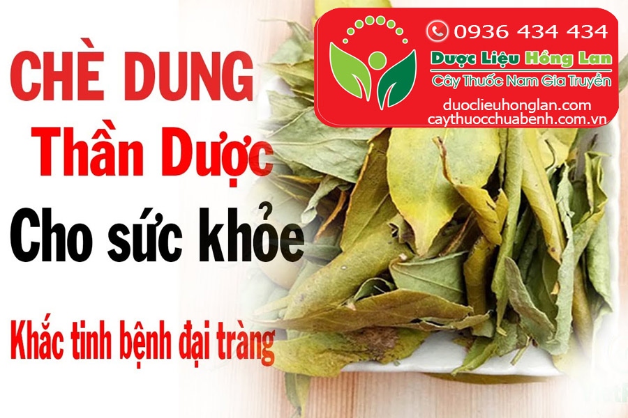 Chè dung tốt cho sức khỏe