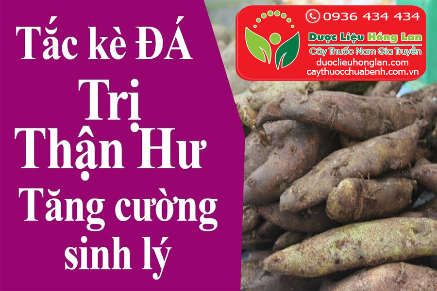 TAC_DUNG_TAC_KE_DA_COT_TOAI_BO_DUOC_LIEU_HONG_LAN