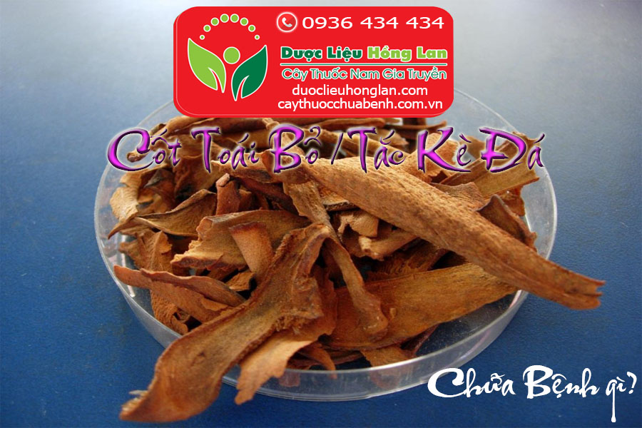 TAC_KE_DA_COT_TOAI_BO_CHUA_BENH_GI_DUOC_LIEU_HONG_LAN