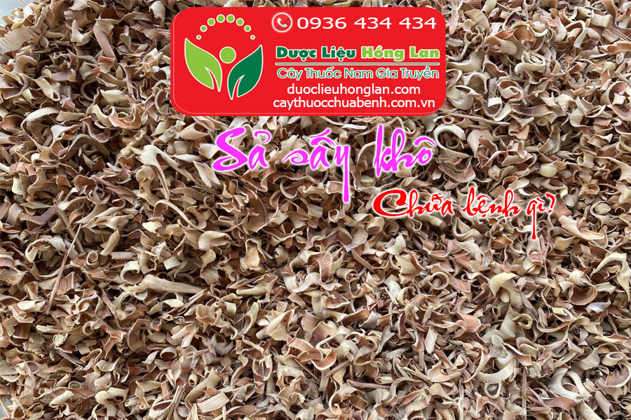CAY_SA_SAY_KHO_CHUA_BENH_GI_DUOC_LIEU_HONG_LAN