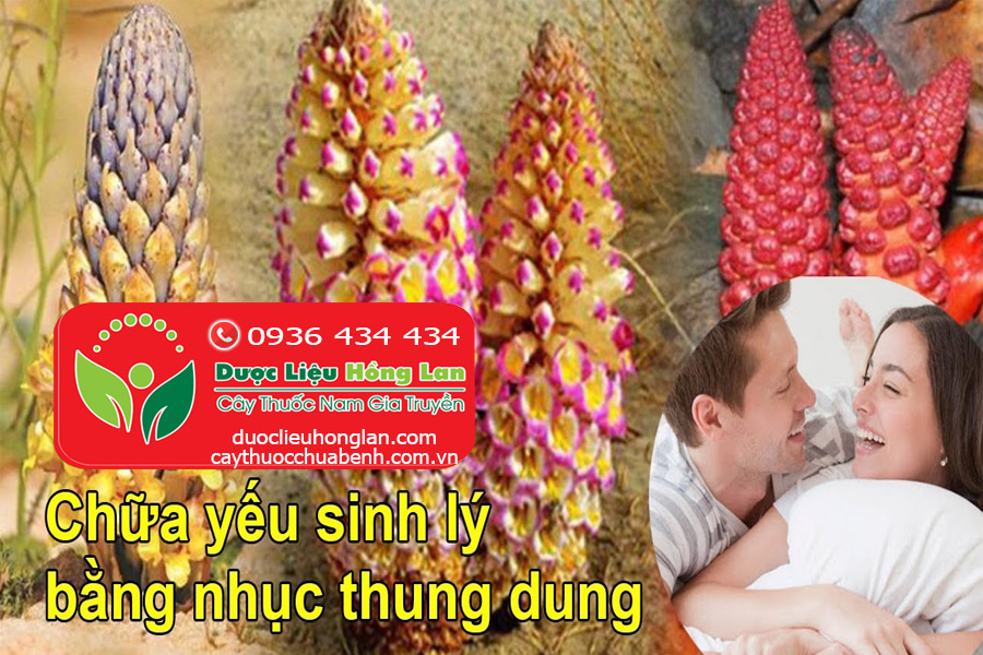 CONG_DUNG_CACH_DUNG_NHUC_THUNG_DUNG_DUOC_LIEU_HONG_LAN