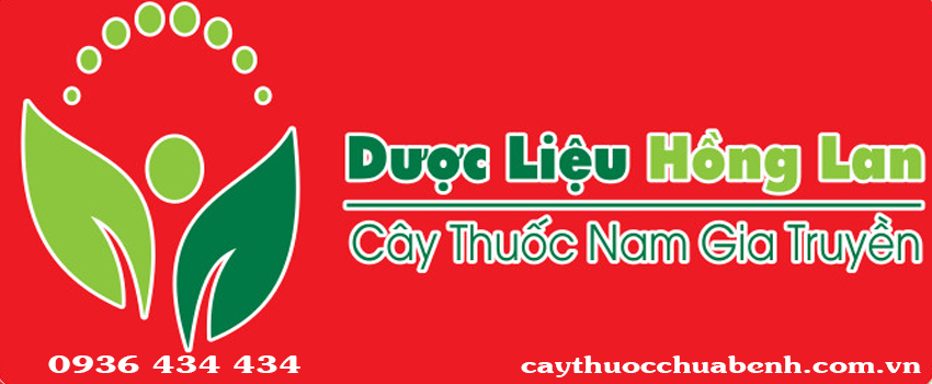 MUA-BAN-SI-LE-SAM-BO-CHINH-KHO-TUOI-CONG-TY-TNHH-DUOC-LIEU-HONG-LAN