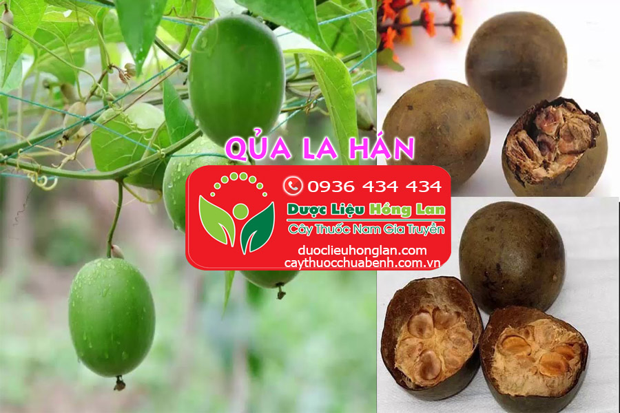 MUA_BAN_QUA_LA_HAN_KHO_DUOC_LIEU_HONG_LAN