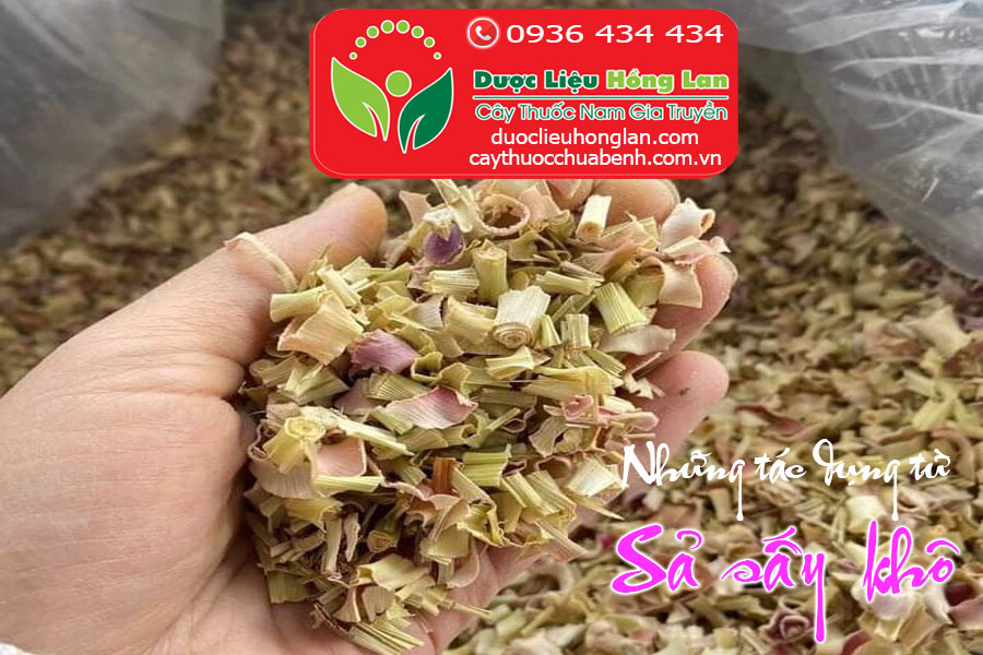 TAC_DUNG_CAY_SA_SAY_KH_DUOC_LIEU_HONG_LAN