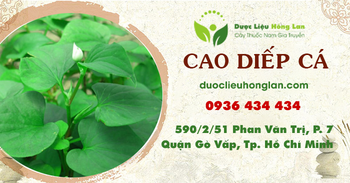 cao-thuoc-thao-duoc-diep-ca-duoclieuhonglan