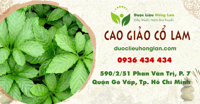 cao-thuoc_giao_co_lam_duoclieuhonglan