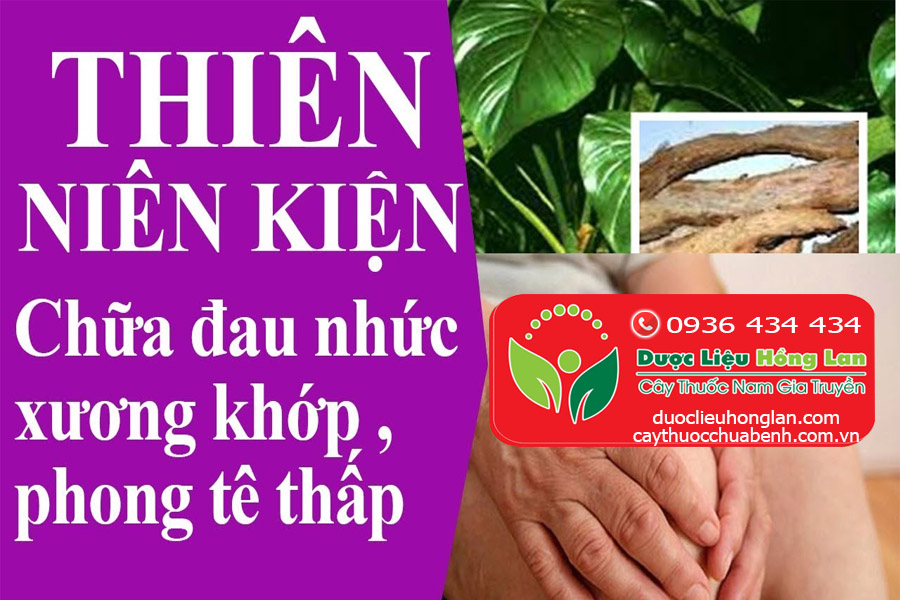 CAY-THIEN-NIEN-KIEN-CHUA-DAU-NHU-KHOP-PHONG-THAP-CTY-DUOC-LIEU-HONG-LAN