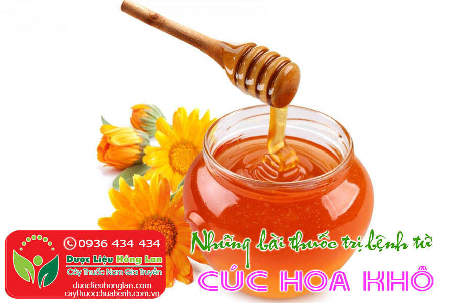 BAI-THUOC-CHUA-BENH-TU-TRA-CUC-HOA-CTY-DUOC-LIEU-HONG-LAN