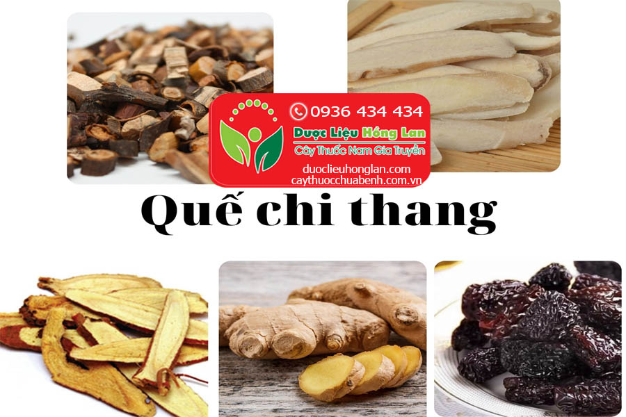 CONG-DUNG-TAC-DUNG-CHUA-BENH-QUE-CHI-CTY-DUOC-LIEU-HONG-LAN