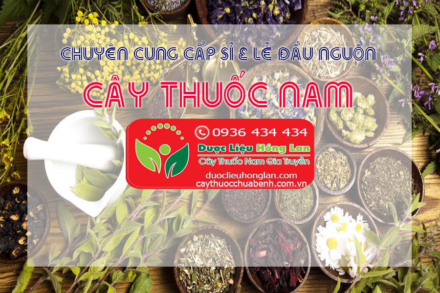 Địa chỉ cửa hàng bán sỉ & lẻ Dược Liệu Cây Thuốc Nam - Trà Thảo Dược - Đồ Ngâm Rượu - Thuốc Đông Y - Thuốc Bắc - Cao - Bột - Viên thảo dược uy tín ở Rách Giá