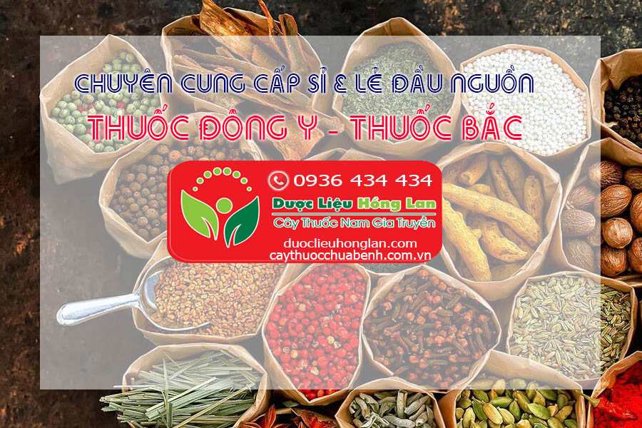 Địa chỉ cửa hàng bán sỉ & lẻ Dược Liệu Cây Thuốc Nam - Trà Thảo Dược - Đồ Ngâm Rượu - Thuốc Đông Y - Thuốc Bắc - Cao - Bột - Viên thảo dược uy tín ở Vinh (Nghệ An)