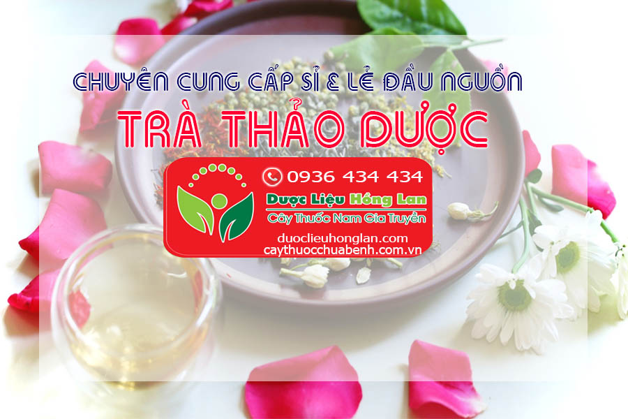 Địa chỉ cửa hàng bán sỉ & lẻ Dược Liệu Cây Thuốc Nam - Trà Thảo Dược - Đồ Ngâm Rượu - Thuốc Đông Y - Thuốc Bắc - Cao - Bột - Viên thảo dược uy tín ở Vinh (Nghệ An)