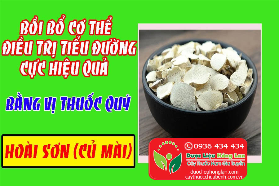 NHUNG-MON-NGON-TU-THAO-DUOC-HOAI-SON-CU-MAI-CTY-DUOC-LIEU-HONG-LAN