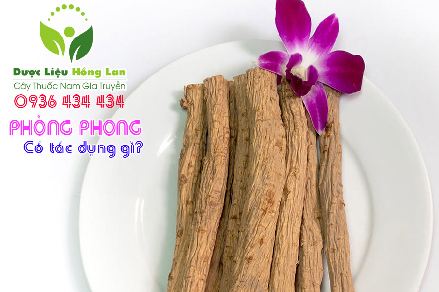 PHONG-PHONG-CO-TAC-DUNG-GI-CTY-DUOC-LIEU-HONG-LAN