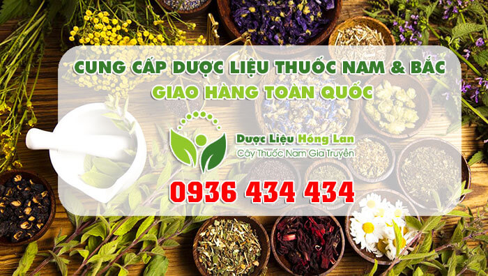 Công ty dược liệu Hồng Lan - chuyên chỉ đầu nguồn thảo dược - đồ ngâm rượu - thuốc đông y- cây thuốc nam ở Sơn La