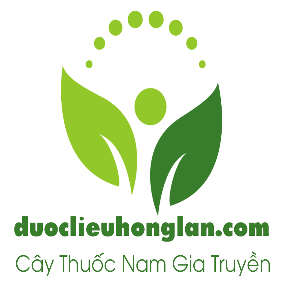 cty-duoc-lieu-hong-lan-chuyên-cung-cap-si-le-dau-nguon-thao-duoc-cay-thuoc-nam-thuoc-dong-y-do-ngam-ruou-cao-bot-vien-duoc-lieu