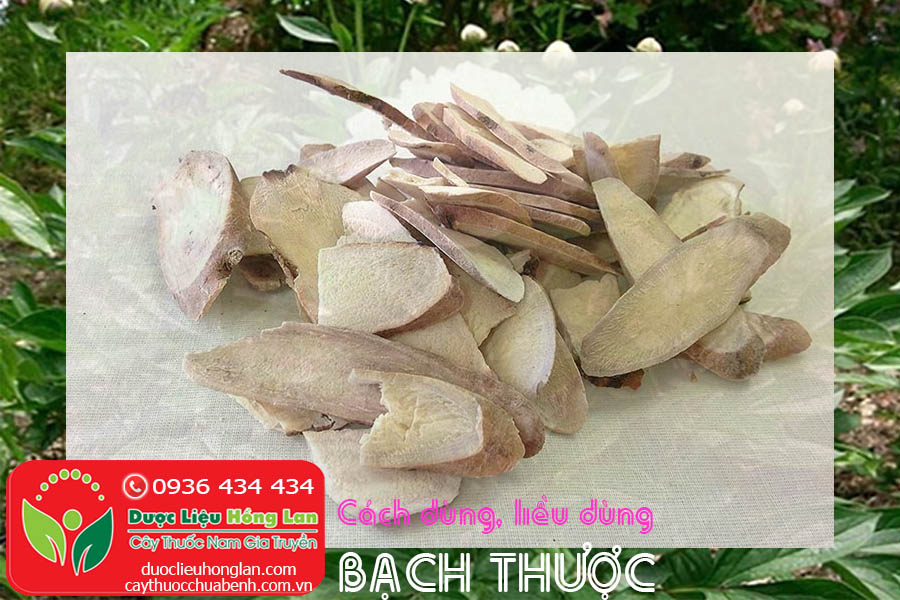 CACH-DUNG-LIEU-DUNG-VI-THUOC-BACH-THUOC-CTY-DUOC-LIEU-HONG-LAN