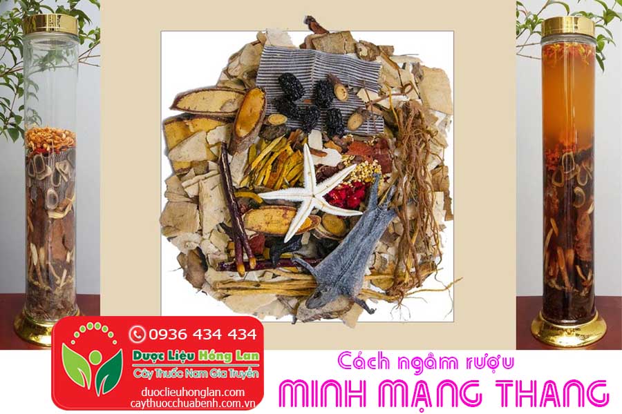 CACH-NGAM-RUOU-MINH-MANG-THANG-35-VI-CTY-DUOC-LIEU-HONG-LAN