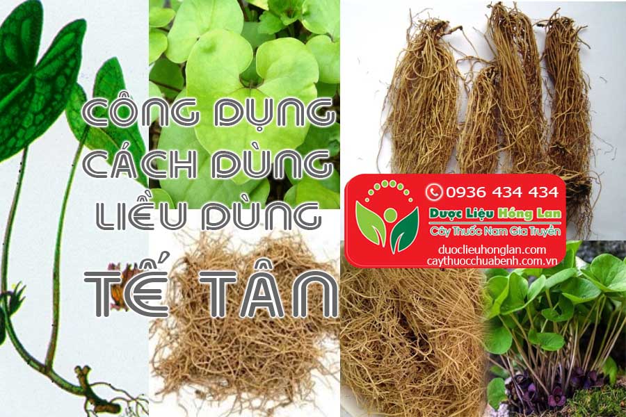 CONG-DUNG-CACH-DUNG-LIEU-DUNG-VI-THUOC-TE-TAN-CTY-DUOC-LIEU-HONG-LAN