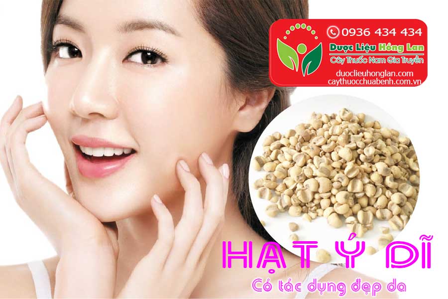 HAT-Y-DI-CO-TAC-DUNG-LAM-DEP-DA-CTY-DUOC-LIEU-HONG-LAN