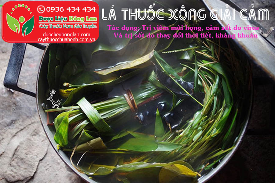 LA-THUOC-XONG-TRI-CAM-SOT-CTY-DUOC-LIEU-HONG-LAN