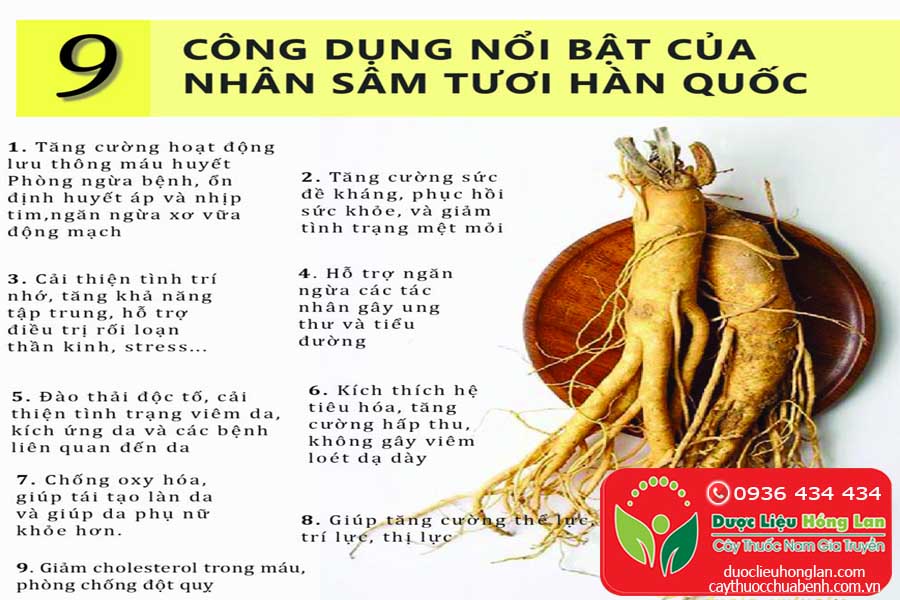 NHUNG-TAC-DUNG-CUA-CU-NHAN-SAM-HAN-QUOC-CTY-DUOC-LIEU-HONG-LAN