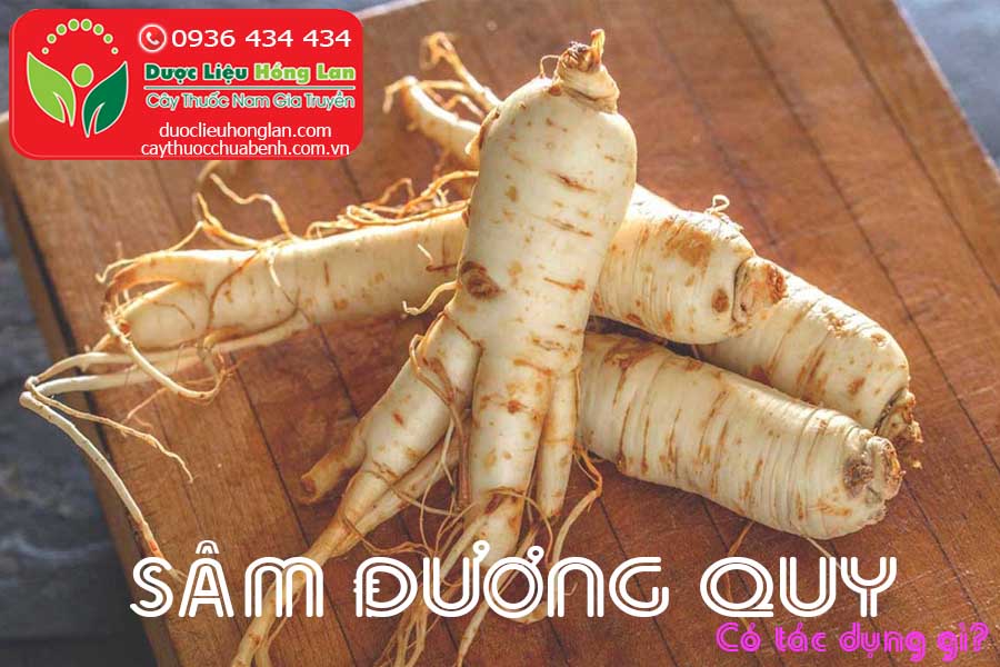 SAM-DUONG-QUY-CO-TAC-DUNG-GI-CTY-DUOC-LIEU-HONG-LAN