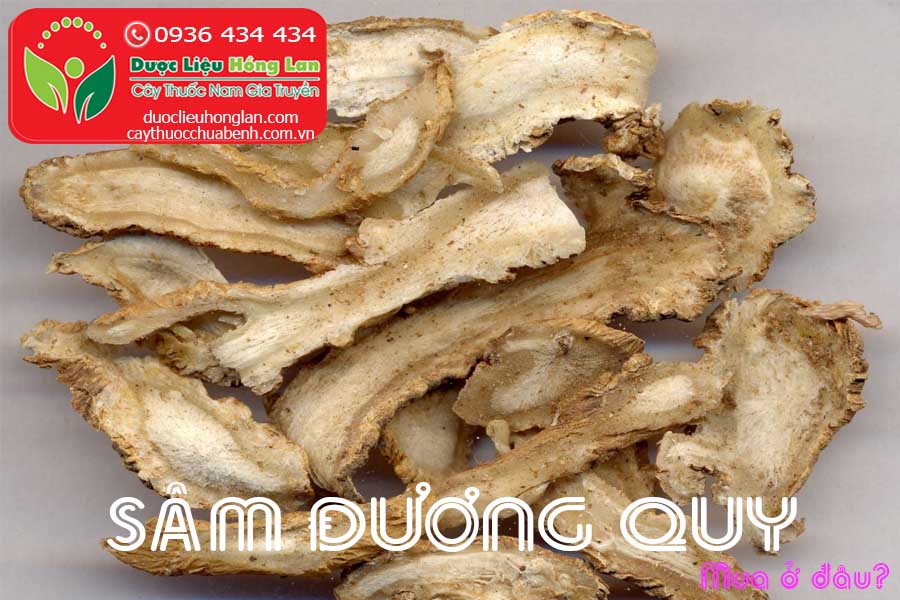 SAM-DUONG-QUY-KHO-MUA-O-DAU-CTY-DUOC-LIEU-HONG-LAN