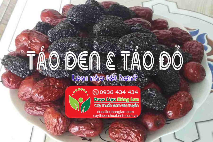 TAO-DEN-VA-TAO-DO-LOAI-NAO-TOT-HON-CTY-DUOC-LIEU-HONG-LAN