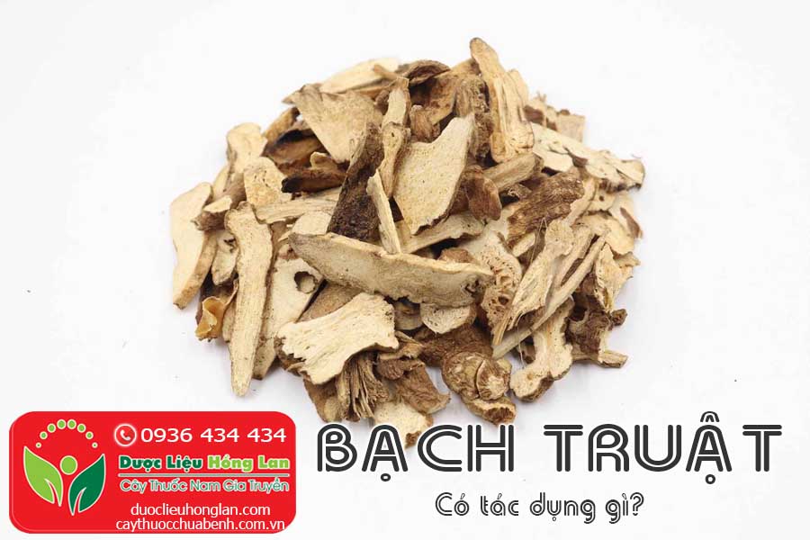 BACH-TRUAT-CO-TAC-DUNG-GI-CTY-DUOC-LIEU-HONG-LAN