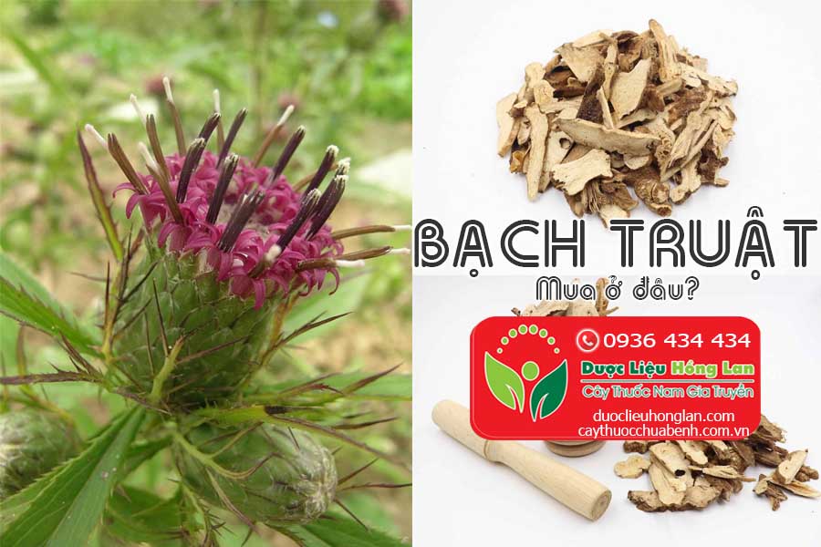 BACH-TRUAT-MUA-O-DAU-TPHCM-CTY-DUOC-LIEU-HONG-LAN