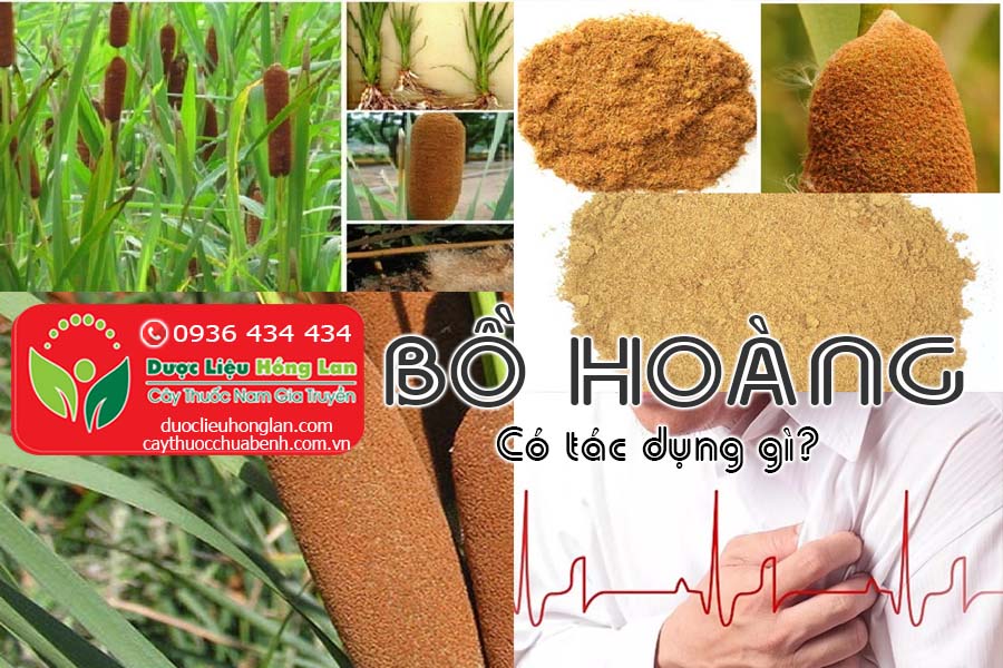 BO-HOANG-CO-TAC-DUNG-GI-CTY-DUOC-LIEU-HONG-LAN