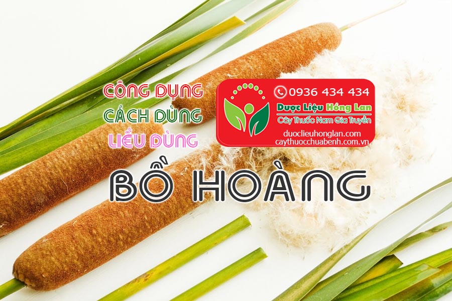 CONG-DUNG-CACH-DUNG-LIEU-DUNG-BO-HOANG-CTY-DUOC-LIEU-HONG-LAN