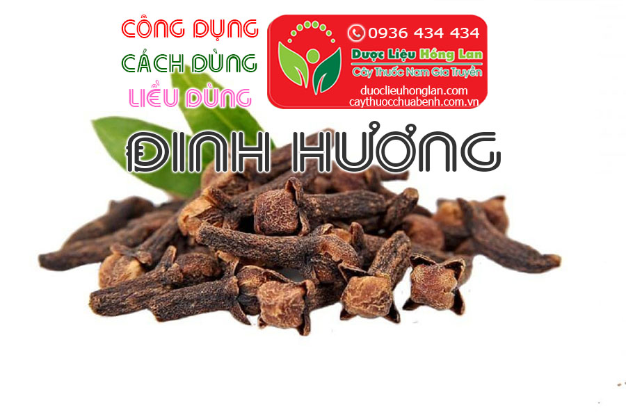 CONG-DUNG-CACH-DUNG-LIEU-DUNG-DINH-HUONG-CTY-DUOC-LIEU-HONG-LAN