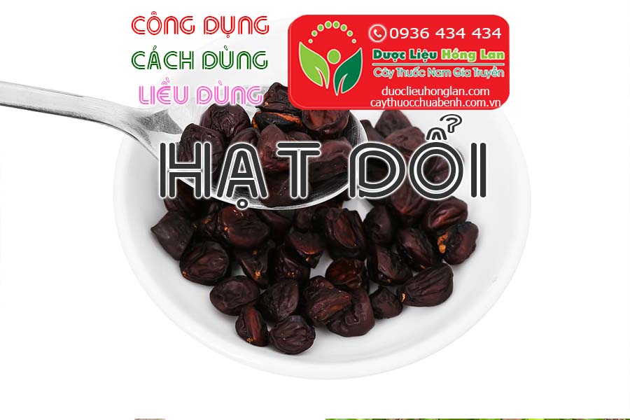 CONG-DUNG-CACH-DUNG-LIEU-DUNG-HAT-DOI-RUNG-CTY-DUOC-LIEU-HONG-LAN