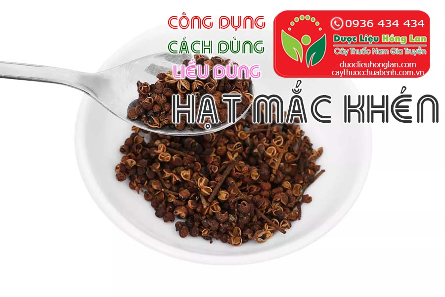 CONG-DUNG-CACH-DUNG-LIEU-DUNG-HAT-MAC-KHEN-CTY-DUOC-LIEU-HONG-LAN