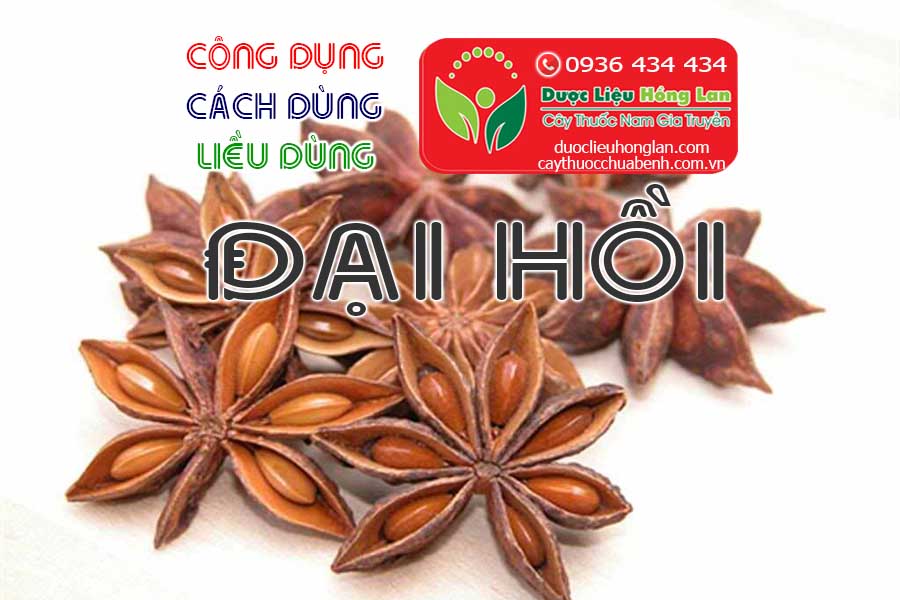 CONG-DUNG-CACH-DUNG-LIEU-DUNG-HOA-HOI-DAI-HOI-CTY-DUOC-LIEU-HONG-LAN