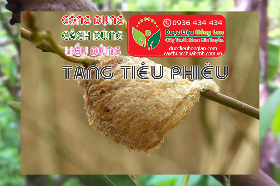 CONG-DUNG-CACH-DUNG-LIEU-DUNG-TANG-TIEU-PHIEU-CTY-DUOC-LIEU-HONG-LAN