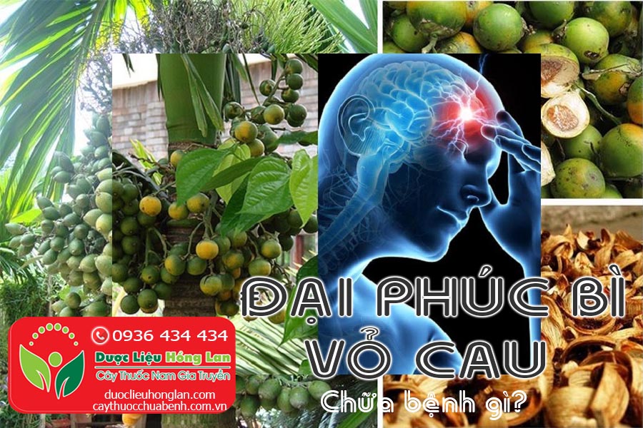 DAI-PHUC-BI-VO-CAU-CHUA-BENH-GI-CTY-DUOC-LIEU-HONG-LAN