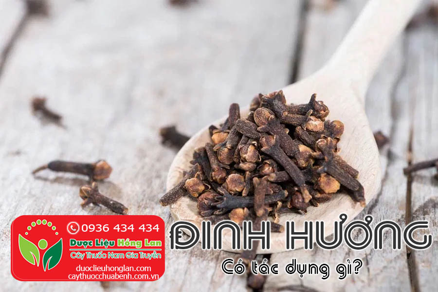 DINH-HUONG-CO-TAC-DUNG-GI-CTY-DUOC-LIEU-HONG-LAN