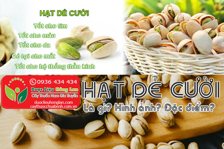 HAT-DE-CUOI-MY-LA-GI-HINH-ANH-DAC-DIEM-CTY-DUOC-LIEU-HONG-LAN