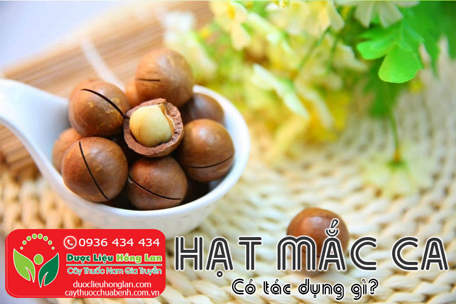 HAT-MAC-CA-CO-TAC-DUNG-GI-CTY-DUOC-LIEU-HONG-LAN