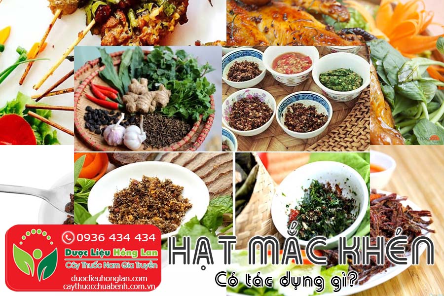 HAT-MAC-KHEN-CO-TAC-DUNG-GI-CTY-DUOC-LIEU-HONG-LAN