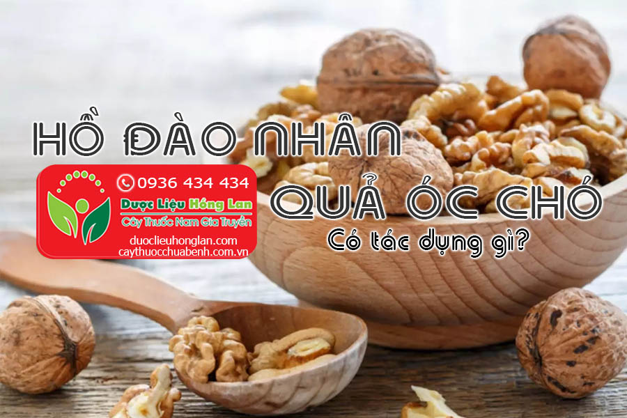 HO-DAO-NHAN-QUA-OC-CHO-CO-TAC-DUNG-GI-CTY-DUOC-LIEU-HONG-LAN