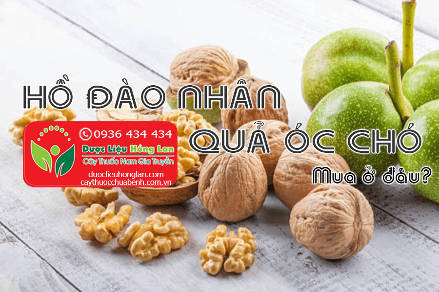 HO-DAO-NHAN-QUA-OC-CHO-MUA-O-DAU-CTY-DUOC-LIEU-HONG-LAN