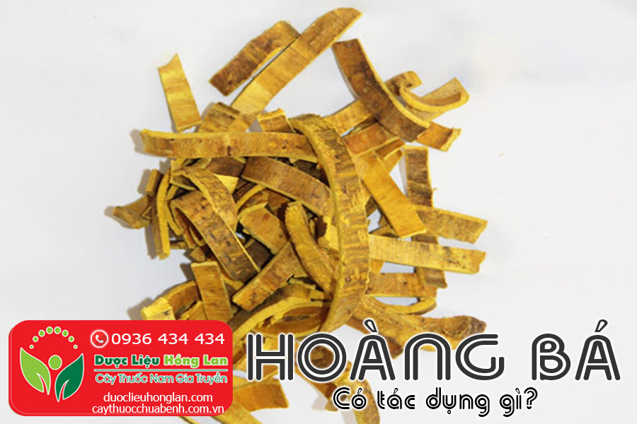 HOANG-BA-VO-NUC-NAC-CO-TAC-DUNG-GI-CTY-DUOC-LIEU-HONG-LAN