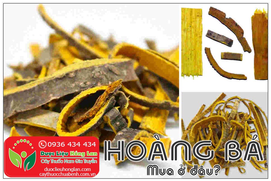 HOANG-BA-VO-NUC-NAC-KHO-MUA-O-DAU-TPHCM-HA-NOI-CTY-DUOC-LIEU-HONG-LAN