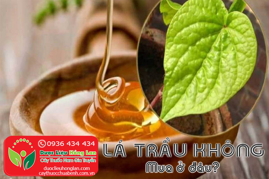 LA-TRAU-KHONG-MUA-O-DAU-TPHCM-HA-NOI-CTY-DUOC-LIEU-HONG-LAN